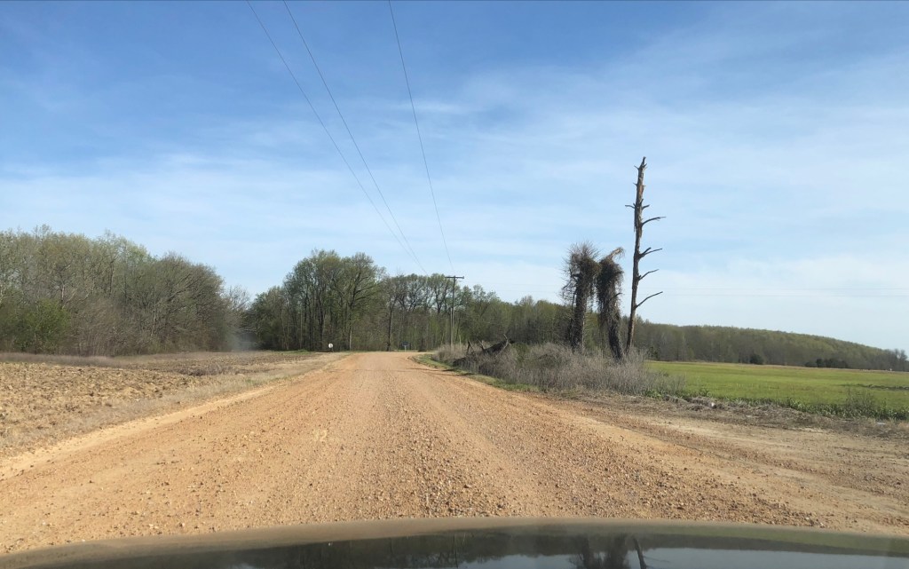 Seven hours of&nbsp;Blues